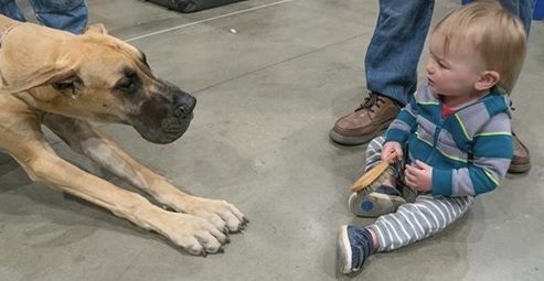 Click to View Larger