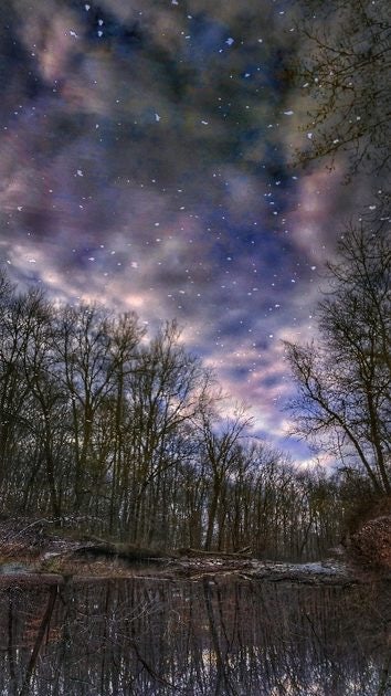 Click to View Larger