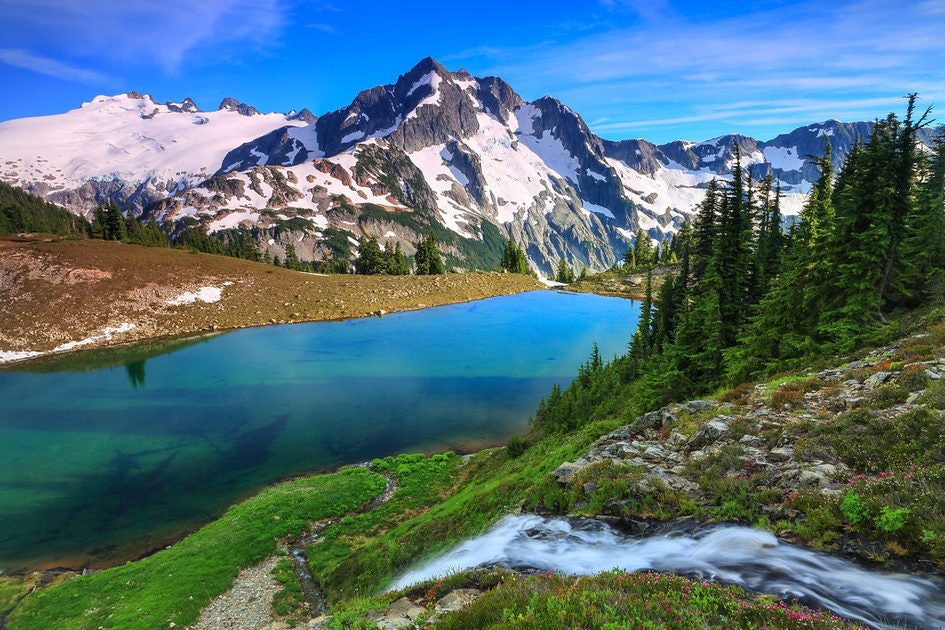 Click to View Larger