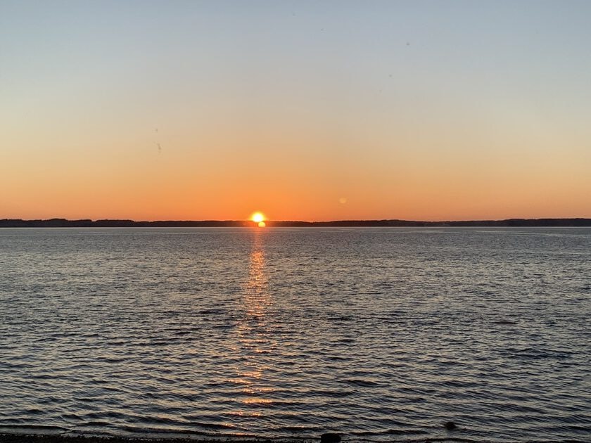 Click to View Larger