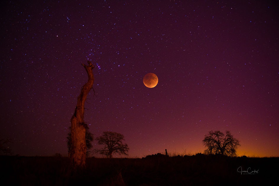 Click to View Larger