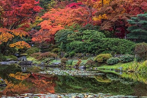 Click to View Larger