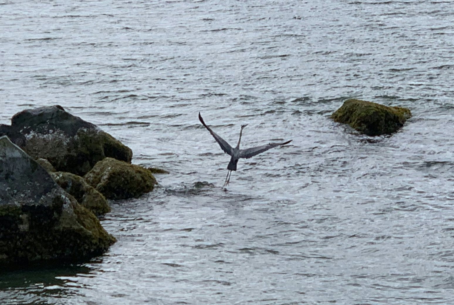 Click to View Larger