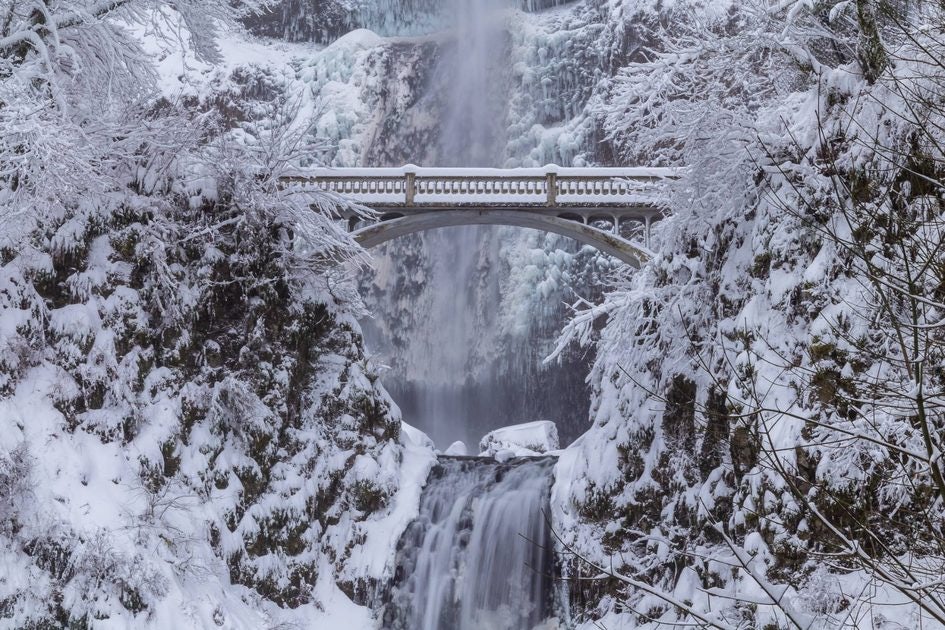 Click to View Larger