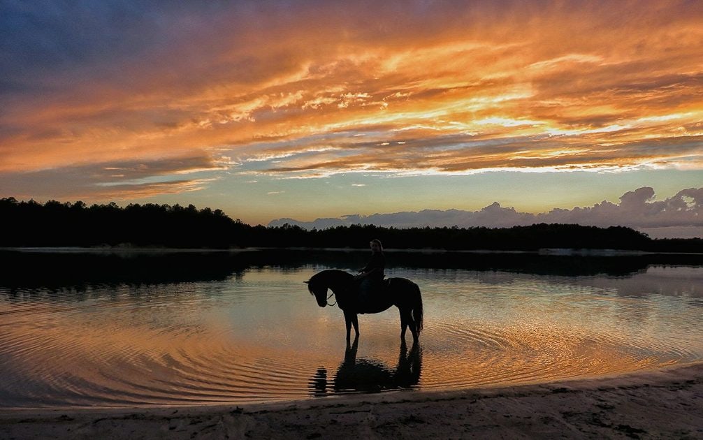 Click to View Larger