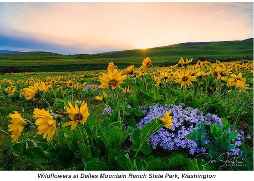 Click to View Larger