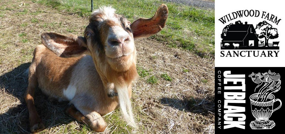 Click to View Larger