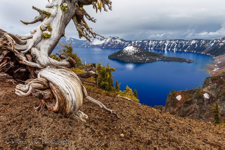 Click to View Larger