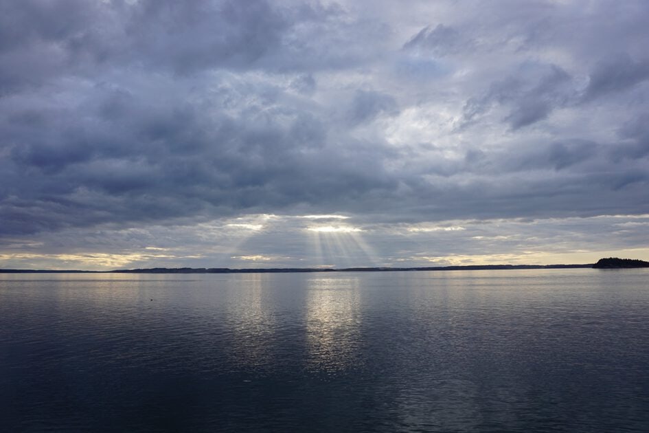 Click to View Larger