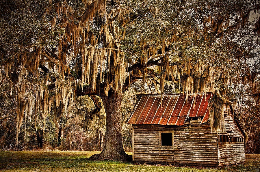 Click to View Larger