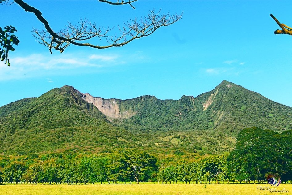 Click to View Larger