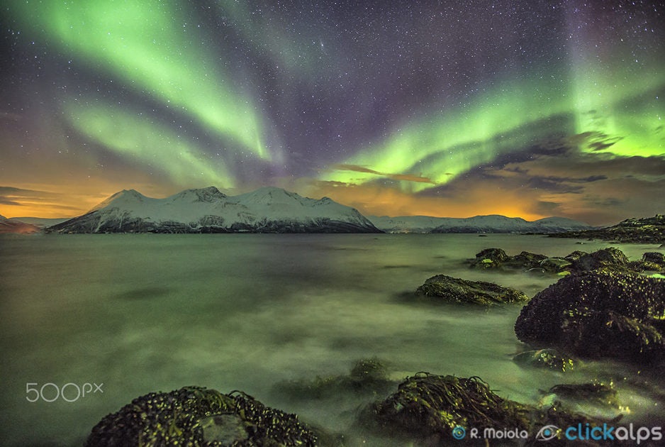 Click to View Larger