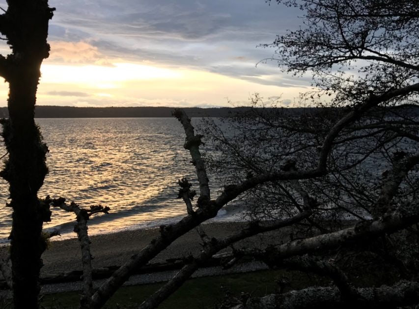 Click to View Larger