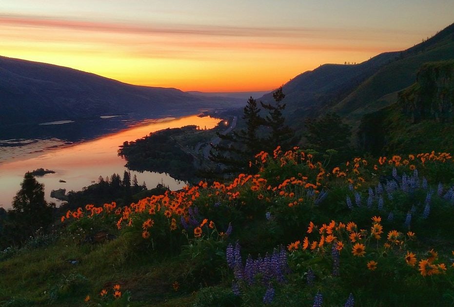 Click to View Larger