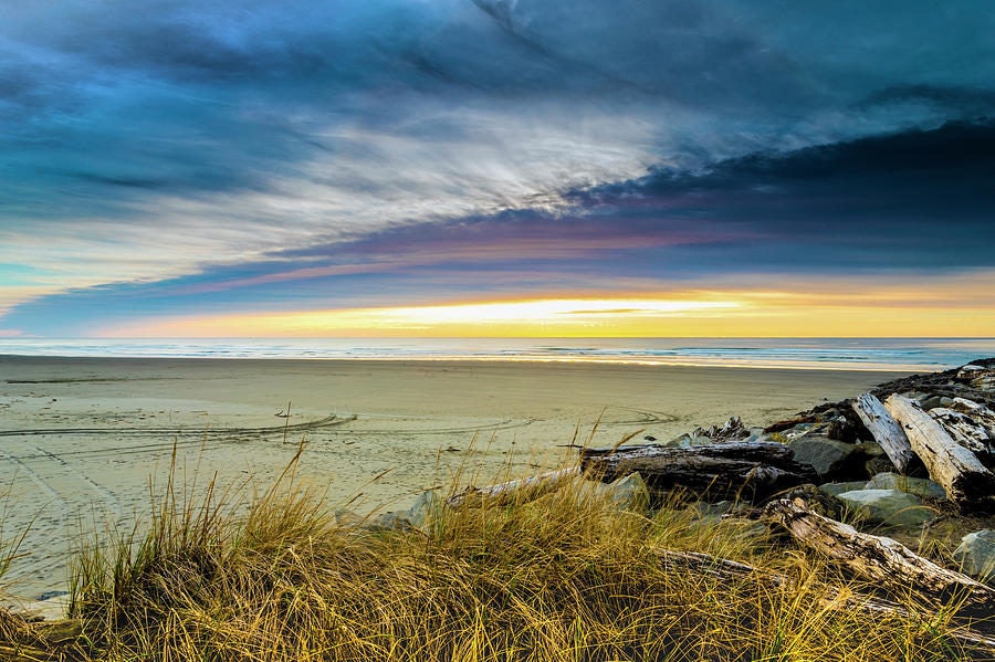 Click to View Larger