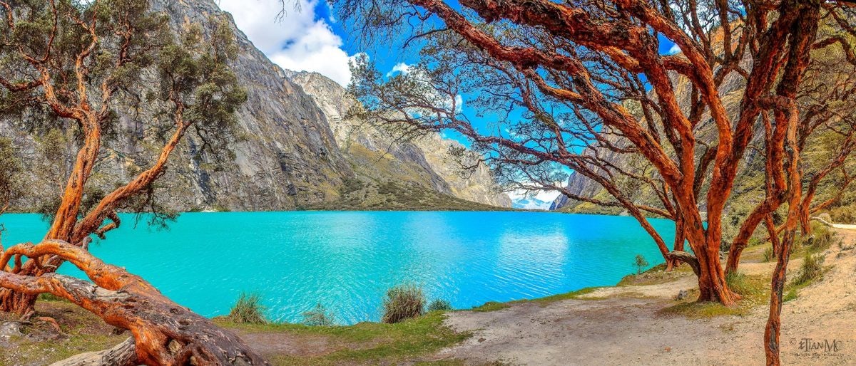 Click to View Larger