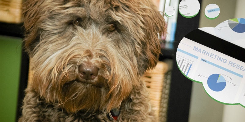 Click to View Larger