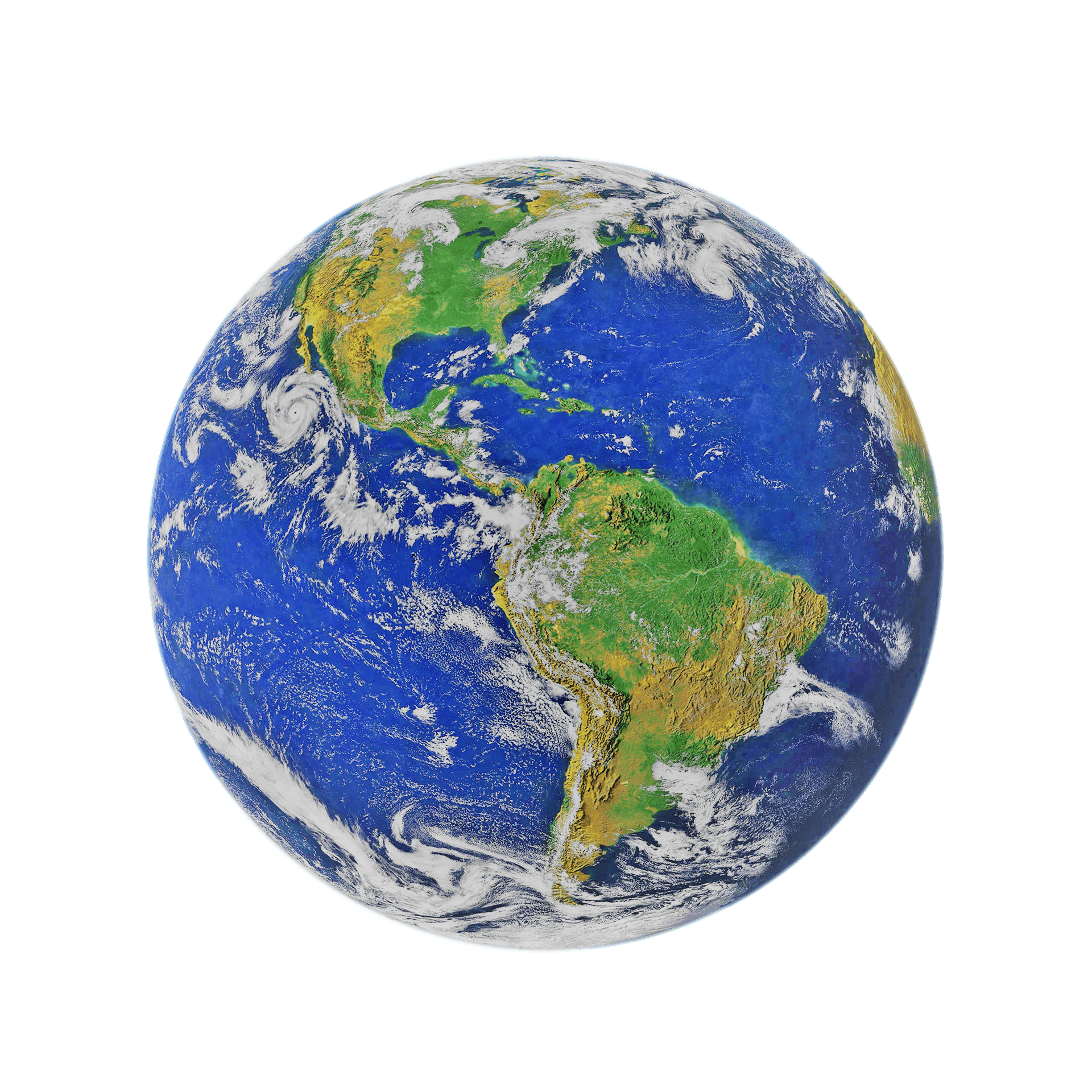 Click to View Larger