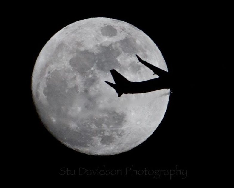 Click to View Larger