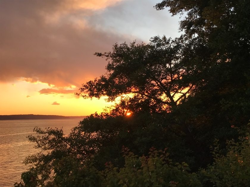 Click to View Larger