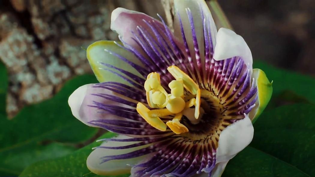 View More About This URL