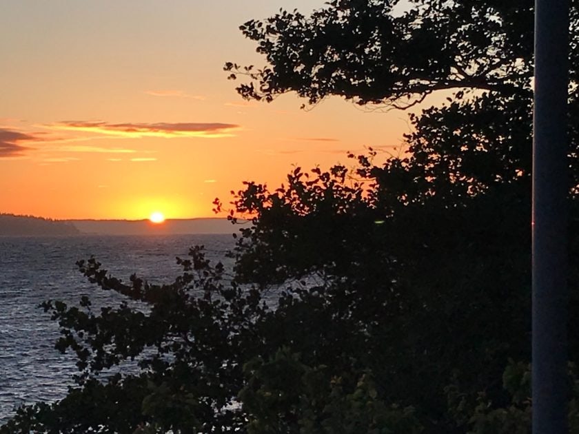 Click to View Larger