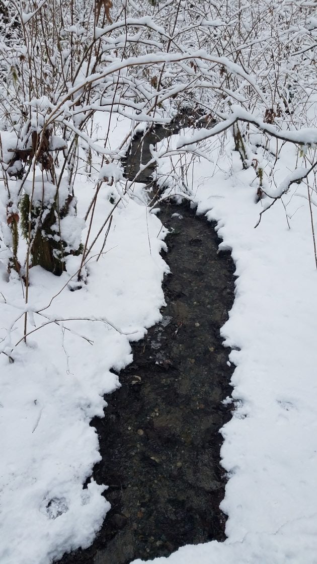 Click to View Larger