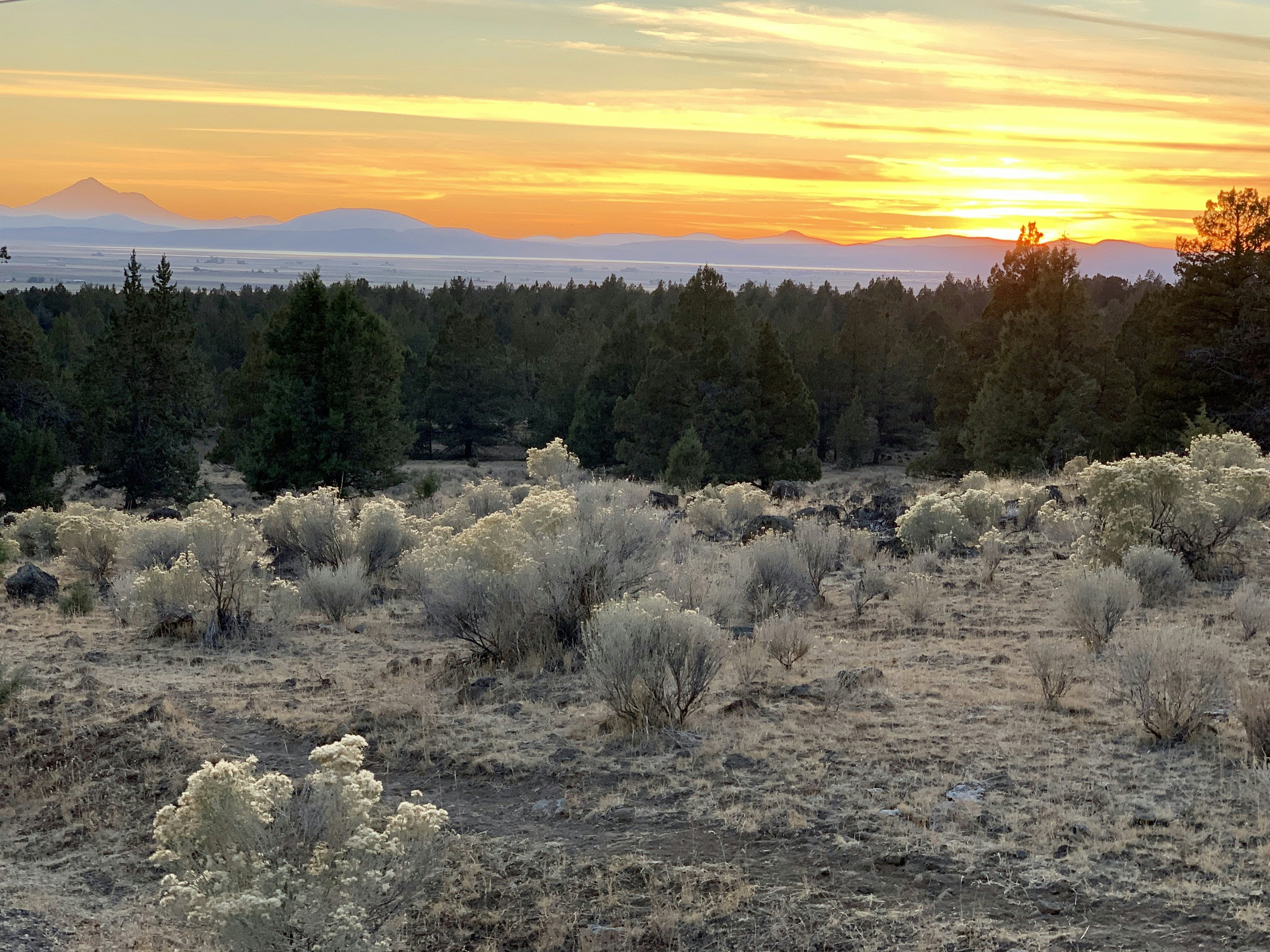 Click to View Larger