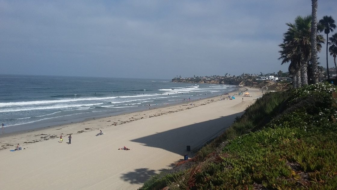 Click to View Larger