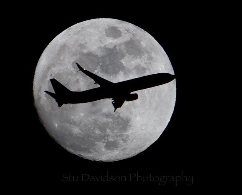 Click to View Larger