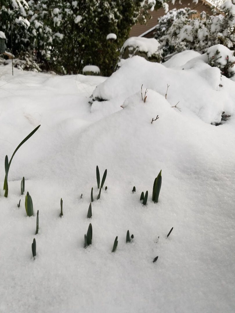 Click to View Larger