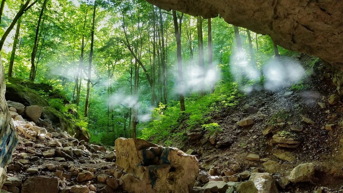 Click to View Larger