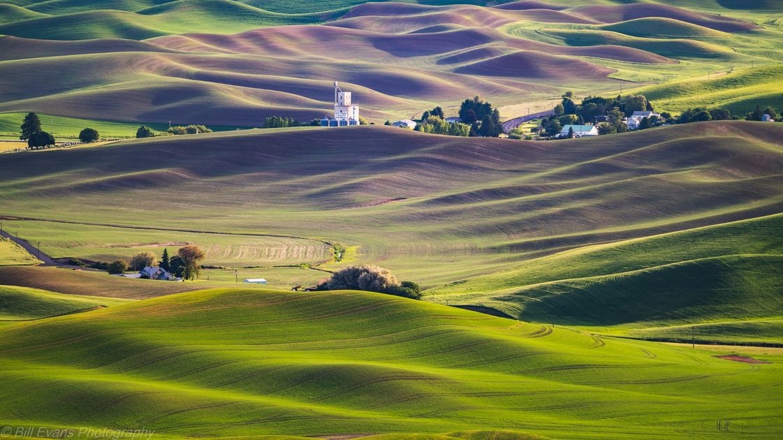 Click to View Larger