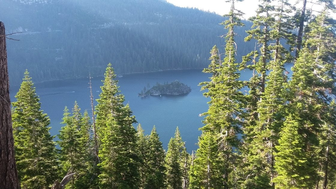 Click to View Larger