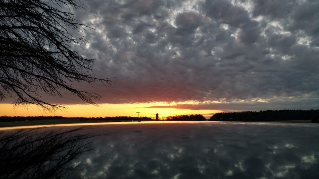 Click to View Larger