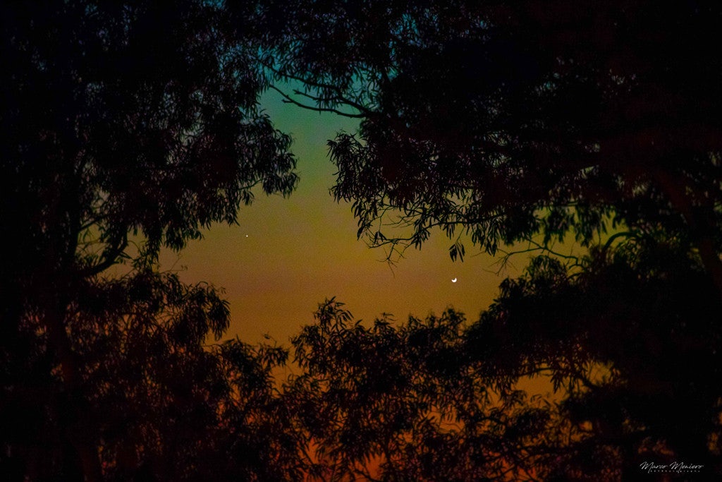 Click to View Larger