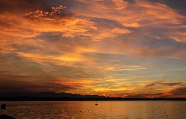 Click to View Larger