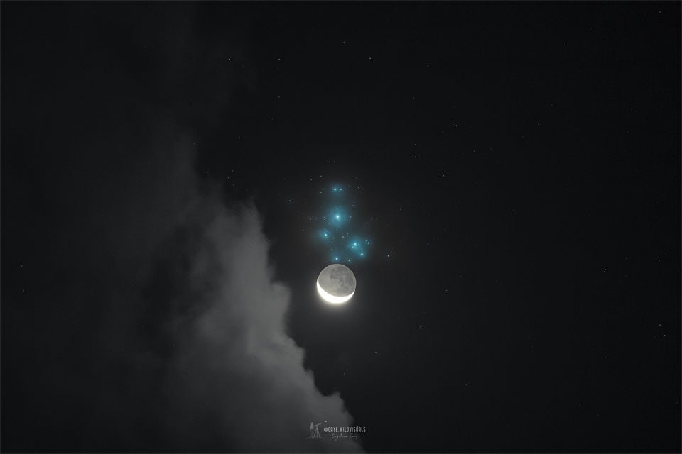 Click to View Larger