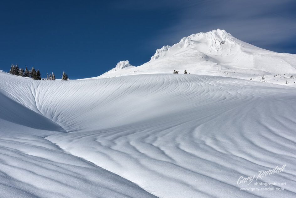 Click to View Larger