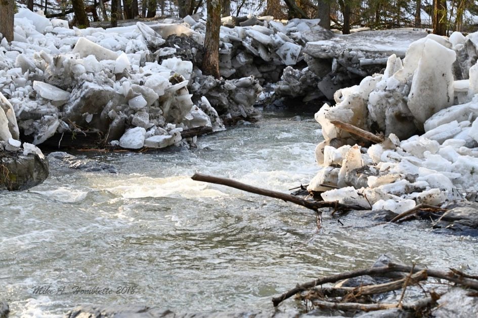 Click to View Larger