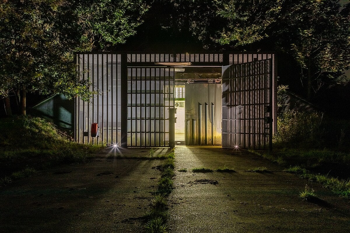 Click to View Larger