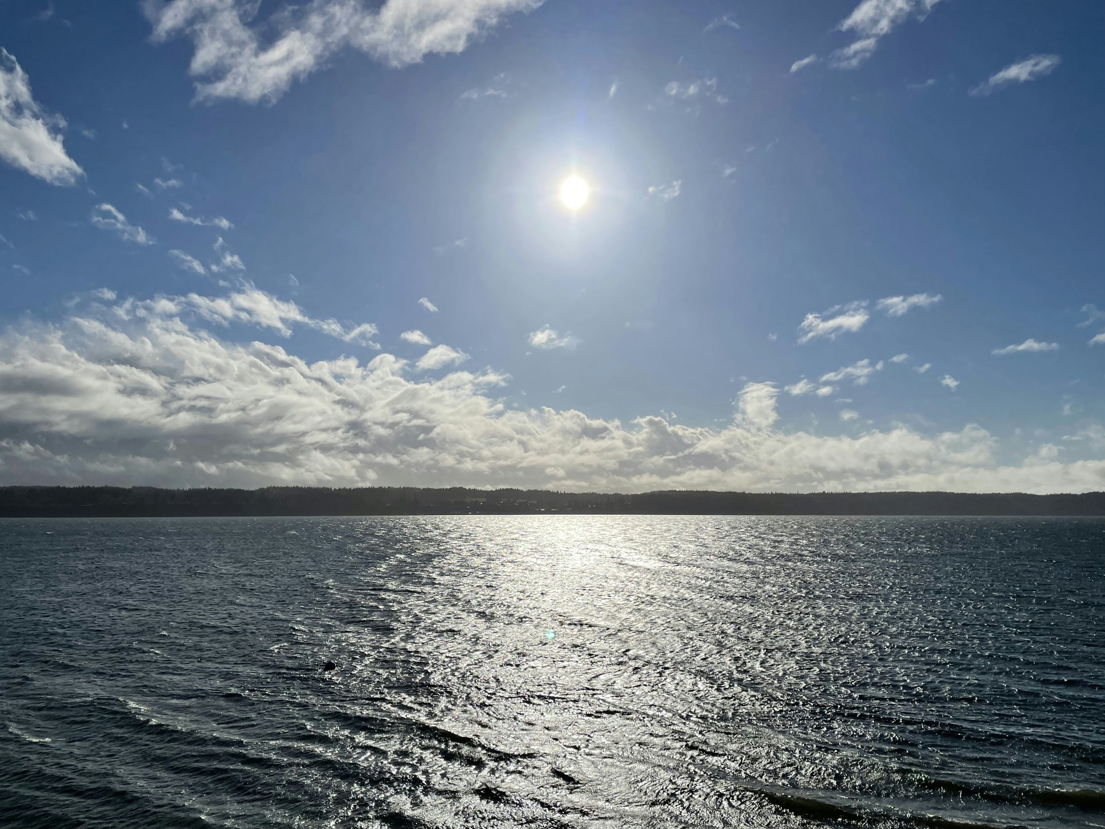 Click to View Larger