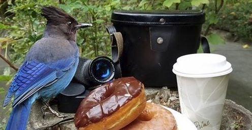 Click to View Larger