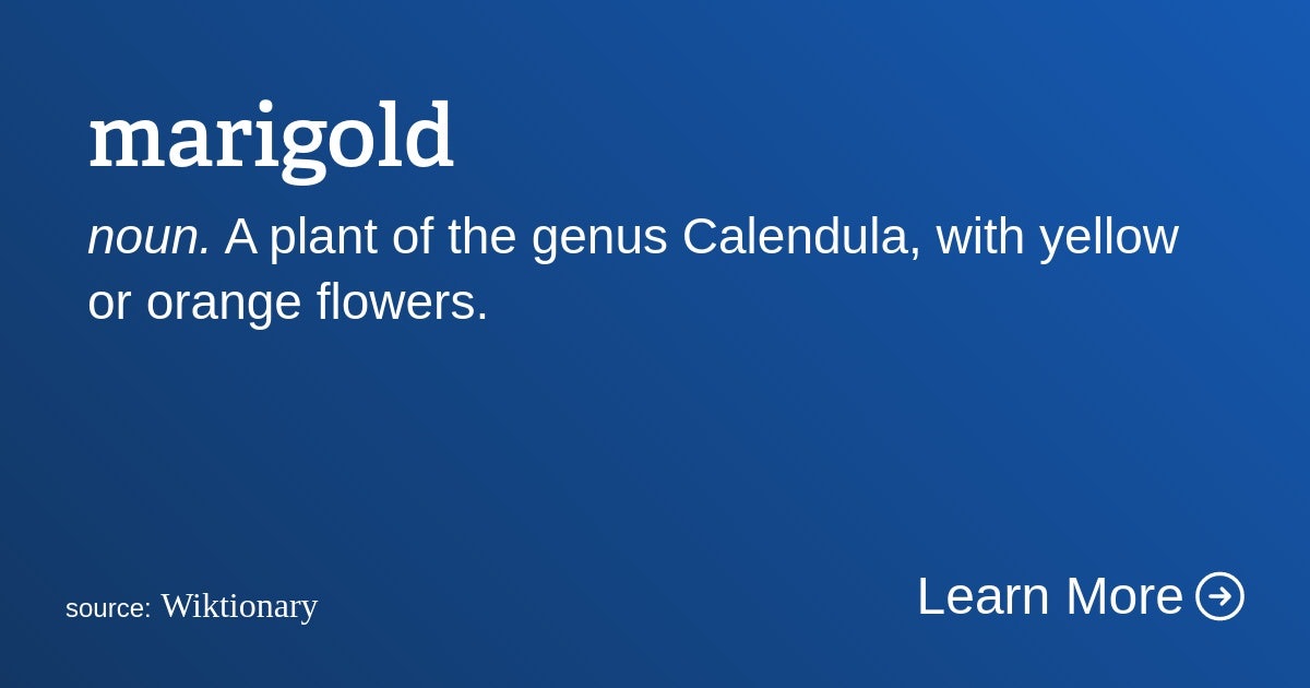 Click to View Larger