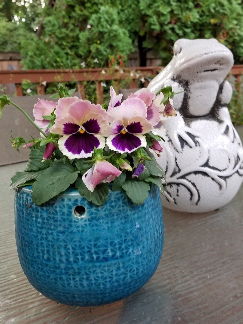 Click to View Larger