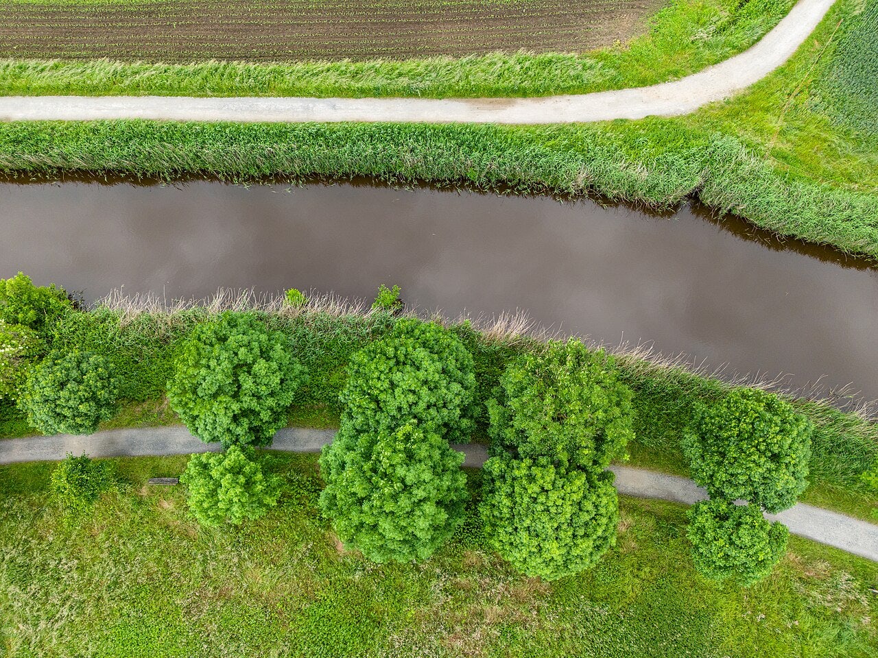 Click to View Larger