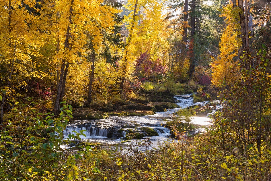 Click to View Larger