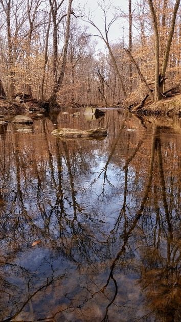 Click to View Larger