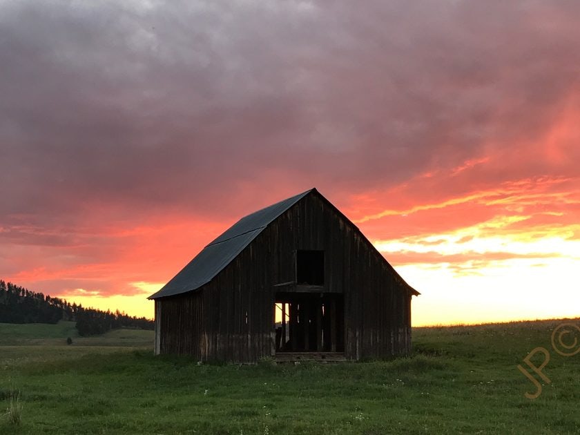 Click to View Larger