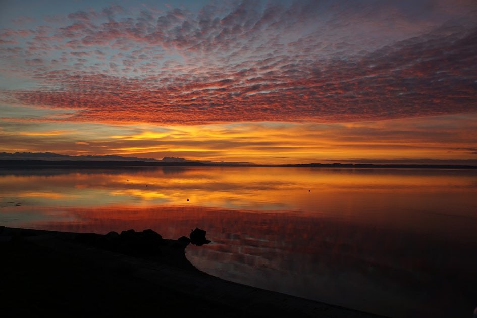 Click to View Larger